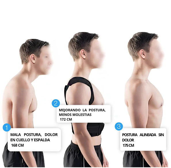 Evolución de postura